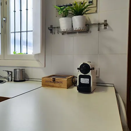 Del Mercado Little * 카디스