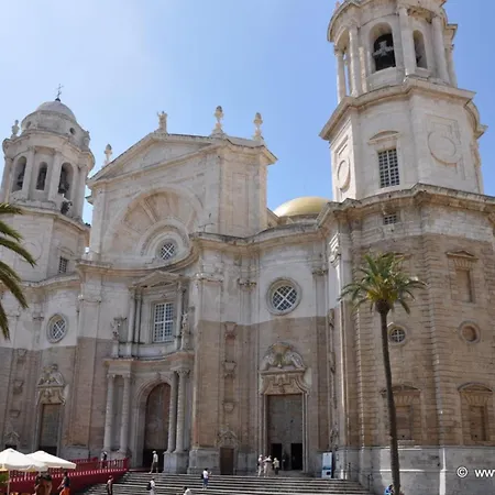 Del Mercado Little Cadice